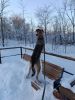 IMG_20260126_164340.thumb.jpg.721d695e257a69c7122fbb17e21888a3.jpg
