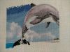 IMG_20260130_132605.thumb.jpg.e38cf24fa845727b773be94709f4771b.jpg