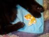IMG_20260201_163046.thumb.jpg.b898c75e7eb6b9d6b71c18d015b52a94.jpg