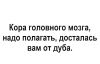 IMG_20260210_085218_356.thumb.jpg.3612c2c2c3b9d562d90be87a06d7b5c6.jpg