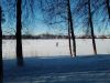 IMG_20260210_161659.thumb.jpg.c47404835fd0e4d1e9ab71c0767a7c33.jpg