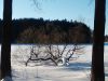 IMG_20260210_162142.thumb.jpg.83e7208ea2c806043507f5898489fc0a.jpg