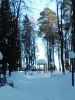 IMG_20260210_162732.thumb.jpg.d4470ac239ef94b378b1e6f299596ceb.jpg