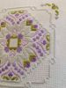 IMG_20260215_133253.thumb.jpg.2b84df1d0efe6fabb85f284c7ce7e39b.jpg