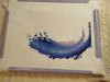 IMG_20260216_193140.thumb.jpg.83aa7b2f6877b3567b447548ba20b751.jpg?1771265494628