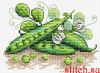 IMG_20260216_201243.thumb.jpg.e40d53b558d3fea078c626501ce4e56c.jpg