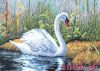 IMG_20260216_202257.thumb.jpg.f56febd286a482f768f0ce1647849217.jpg