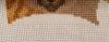 IMG_20260217_074425.thumb.jpg.9d1b4ac761980ac8d94d393aebb5f9eb.jpg