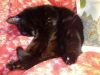 IMG_20260218_184335.thumb.jpg.c0fb36dc0295578acc3a55bb58c4ddae.jpg