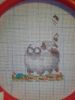 IMG_20260221_000449.thumb.jpg.03dc4128ae35c07f2534389e073c9e20.jpg