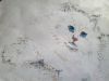 IMG_20260228_151841.thumb.jpg.7cd6b9875d9b8c59db27928a482629be.jpg