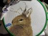IMG_2143.jpeg