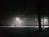 IMG_2289.thumb.png.140e286b194c1625310ed2919ad6a453.png