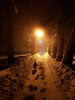IMG_2290.thumb.png.d16ff453b43004cb90d44a456198f6e2.png