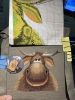 IMG_5008.jpeg