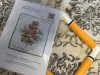 IMG_5637.jpeg