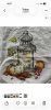 IMG_5655.thumb.png.ee3260720474a8882d52427d81e244bb.png