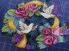 IMG_8005.jpeg