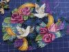IMG_8006.jpeg