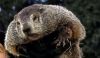 Punxsutawney-Phil-2.thumb.jpeg.3eebba4764acc6032782e0b7ce781a76.jpeg