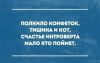 h-199144.thumb.jpg.f8132c5096e7f8354f92cdaaad600ace.jpg
