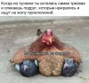 h-199698.thumb.jpg.cc54dc9e0dffd035515ae94cdb3c4932.jpg