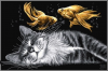image.thumb.png.f6d586e7fa187e8836f7d75c22989f6c.png
