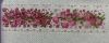 1.thumb.jpeg.6941fef87c396c2177a492ccc2a73c91.jpeg