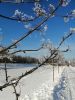 1110713457_x9Gf__UMTpU1.thumb.jpg.578afbbc8648b87502e0c6f529823a59.jpg