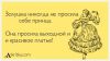 1200047739_42.thumb.jpg.985fb7b19cf820986f902a62462504d2.jpg