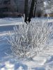 1243275872_IMG_20260218_1310111.thumb.jpg.bfaac0e0801db9a2b66880d4c2fac143.jpg