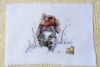 1493966212_6.thumb.jpg.2eb118f5f0957493adb6804b3b3962f2.jpg