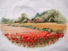 1501175172_.thumb.jpg.39fa687fde858bf60b098696e3c06831.jpg
