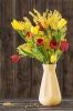 1538652338_-----------243219949.thumb.jpg.9985f1e752fffafffb362d8bb0d1499b.jpg