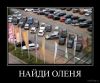 1569742253_034.thumb.jpg.dbf06b8bd6ceefac35443ee218088449.jpg