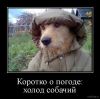 1569742276_016.thumb.jpg.665cad37603e921c799cc97979842734.jpg