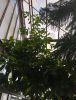 1773915346705.thumb.jpg.e1ddcb06988ebe1c927cb0662242bdd7.jpg