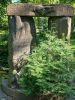 20250814_094845.thumb.jpg.5cf729afa9b6b7c425ef8198f7980e97.jpg