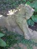 20250814_095338.thumb.jpg.7badafb96afb28c72a58e9f3a76de7ec.jpg