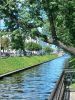 20250814_125110.thumb.jpg.a04b2d35dd2eb3b5feaf0adc8a6014c9.jpg