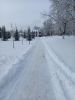 20260126_122651.thumb.jpg.4533dc5dcd707840c6a288ecebcded26.jpg