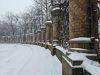 20260226_170954(1).thumb.jpg.eb6b72ae36bf36e0e8c36d7388b5879f.jpg