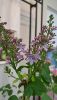 20260228_095937.thumb.jpg.92f0435ef48ecfb63ae16dcbf68a598f.jpg