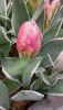 20260228_103944.thumb.jpg.a2405bf630bb78df2655305aeccfe3d1.jpg