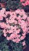 20260228_114330.thumb.jpg.4cfea3a49966c98ded388aabdf249816.jpg