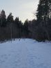 20260313_171801.thumb.jpg.3edd0350e21c75a97e85d63ea397e925.jpg