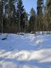 20260314_112544.thumb.jpg.19e5b42c8497ed87db3b685148add416.jpg