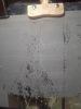 20260315_021954.thumb.jpg.cf9cd4b36053e27ffa5c1d3d4ae6454a.jpg