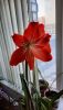 20260316_115545.thumb.jpg.a1a58bdb9d62b1bdd596961d403b5253.jpg