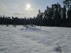 20260318_092807.thumb.jpg.d429a8e996316a98d9428a7560ca4fff.jpg